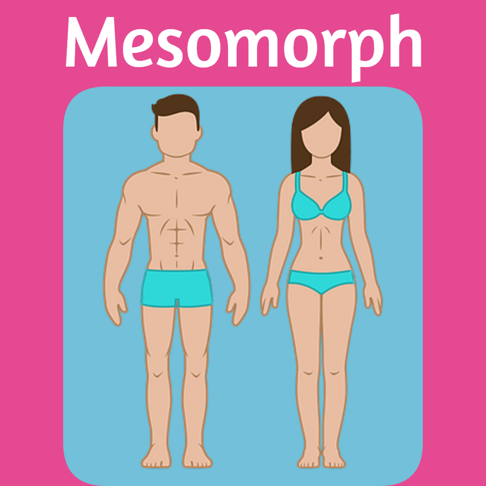 Mesomorph Body Type